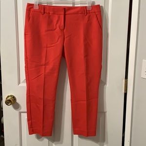 Express Columnist Ankle Pant - 10 short (size)